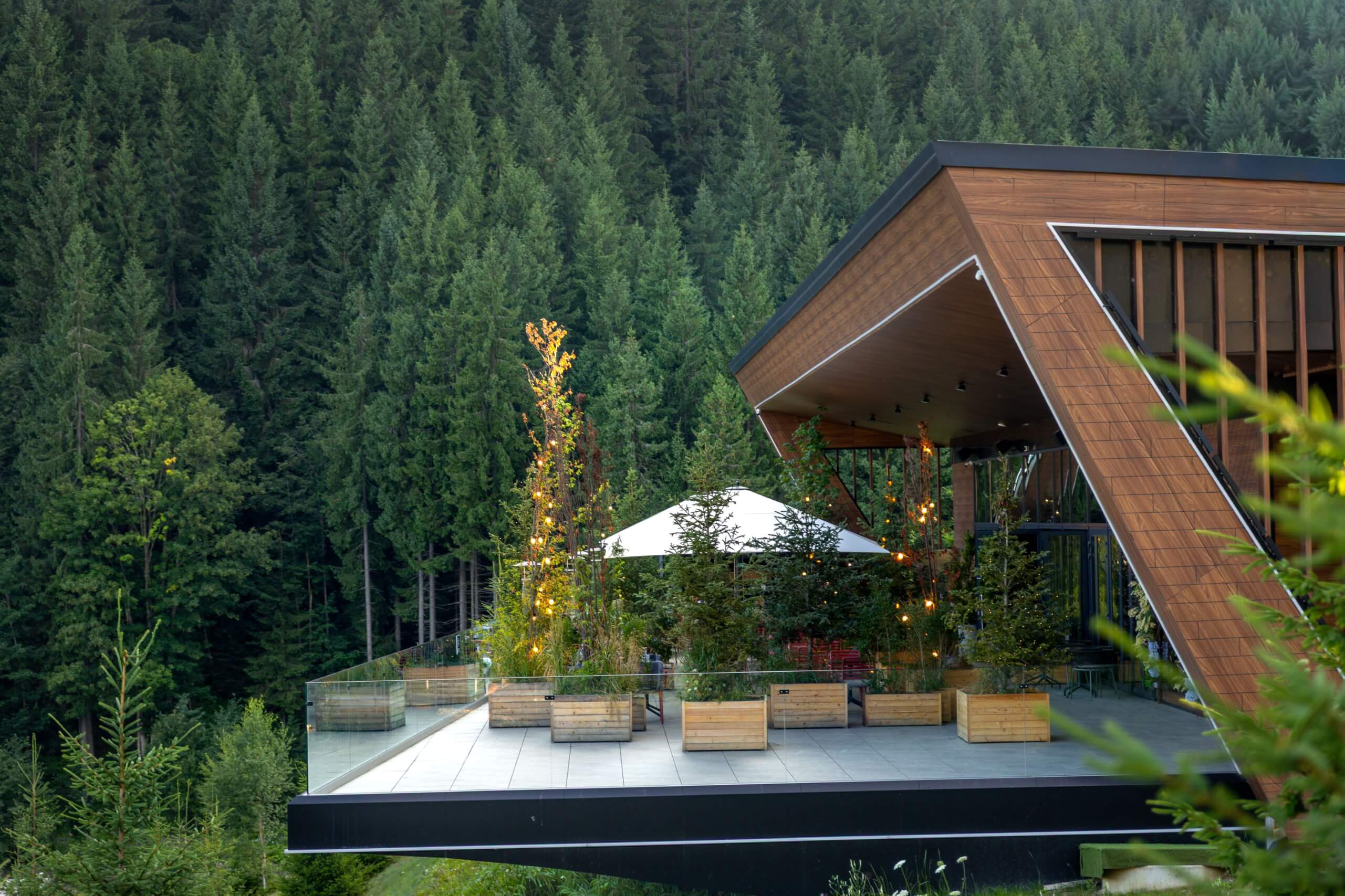 Design Tips for Custom Homes in the Tree Tops image
