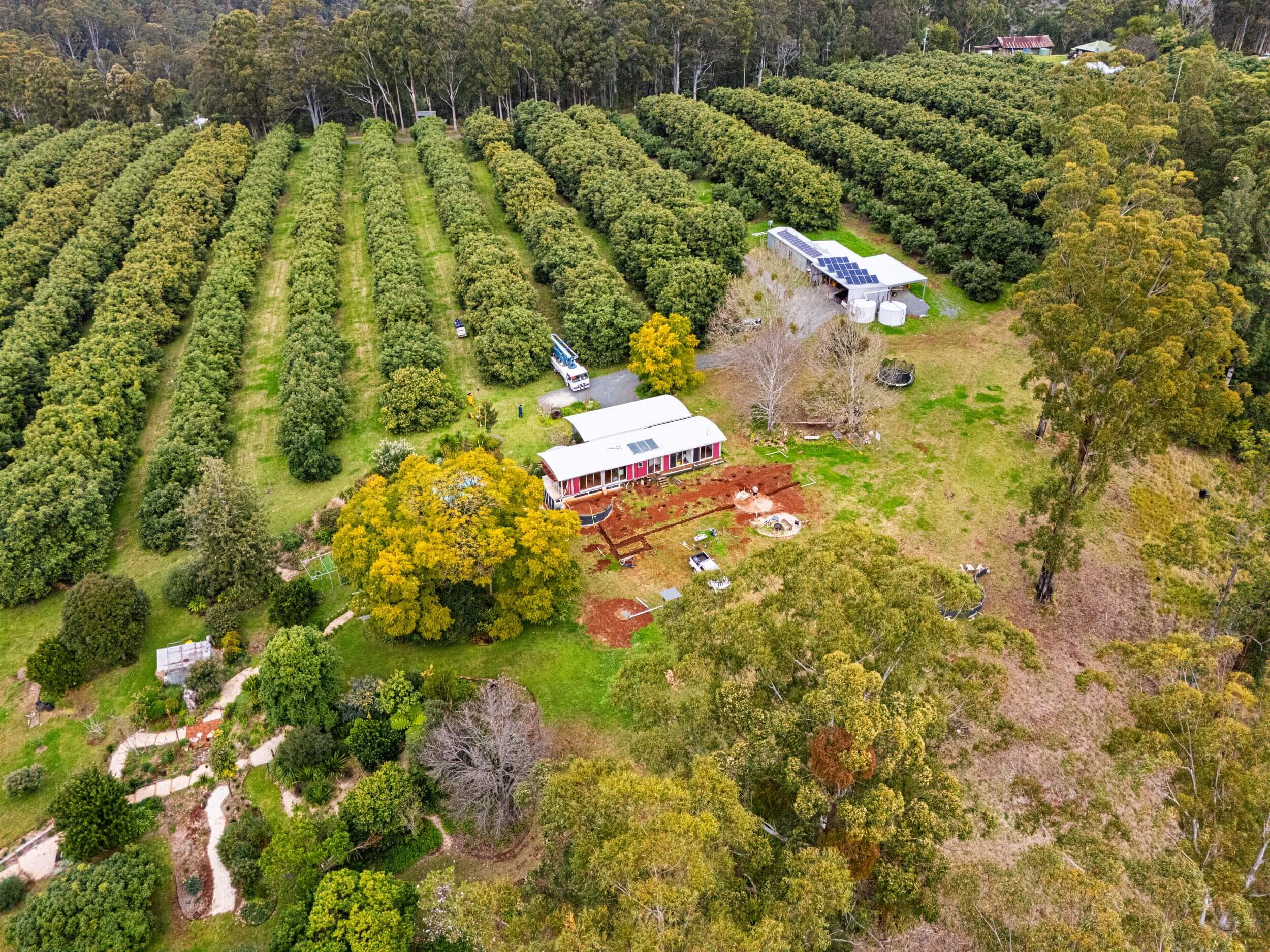 Building Maintenance in Bushfire Zones: How to Safeguard your Home image